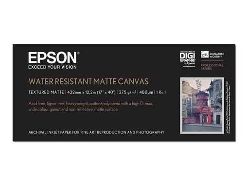 [1301539] EPSON Paper Canvas 17Ix12.2m matte