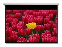[1561272] OPTOMA screen motor-driven 120inch 16:9