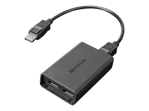 [1827917] LENOVO DP to Dual-DP Adapter