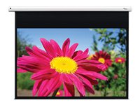 [2031194] OPTOMA Leinwand motorisiert241,3cm 16:10